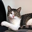 Thumbnail photo of Ethan #4