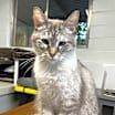 Thumbnail photo of Fifi #1