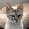 Thumbnail photo of Fifi #2