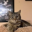 Thumbnail photo of Peanut Butter #3