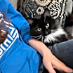 Thumbnail photo of Zing #3
