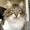 Thumbnail photo of Taz #1