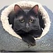 Thumbnail photo of Sara #1