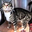 Thumbnail photo of Jasper #1