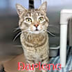Thumbnail photo of Darlene(who lives 3houses down #1