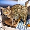 Thumbnail photo of Darlene(who lives 3houses down #2