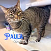 Thumbnail photo of Paula (the PTA leader) #1