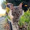 Thumbnail photo of Danica #3