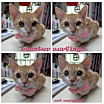 Thumbnail photo of Cpt Morgana #3