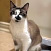 Thumbnail photo of Hillary Kitt #1