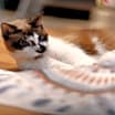 Thumbnail photo of Hillary Kitt #2