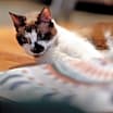 Thumbnail photo of Hillary Kitt #3