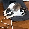 Thumbnail photo of Hillary Kitt #4