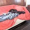 Thumbnail photo of Peter Pan - (must be adopted w/Rocky) #2