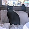 Thumbnail photo of Peter Pan - (must be adopted w/Rocky) #3