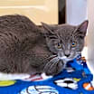 Thumbnail photo of Louise #4