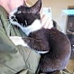 Thumbnail photo of Whiskerbell #2