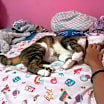 Thumbnail photo of Trixie #4
