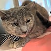 Thumbnail photo of Gabby #1