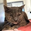 Thumbnail photo of Gabby #2