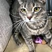Thumbnail photo of Minnie #1