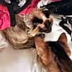 Thumbnail photo of Pearl #2