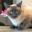 Thumbnail photo of Gravy(Wish) #3