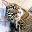 Thumbnail photo of Nikki #1