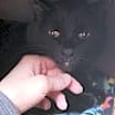Thumbnail photo of Coco #3