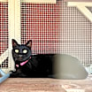 Thumbnail photo of Jasmine #1