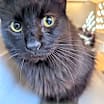 Thumbnail photo of Joyce 0349 #1