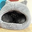 Thumbnail photo of Coco #4