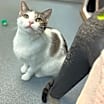 Thumbnail photo of Tart #2