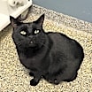 Thumbnail photo of Jeff #3