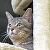 Thumbnail photo of Clayton #2