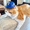 Thumbnail photo of Ollie #4