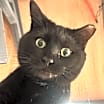 Thumbnail photo of Belle #2