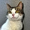 Thumbnail photo of Lucy #2