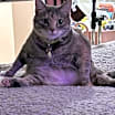 Thumbnail photo of Tara #3