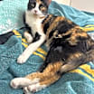 Thumbnail photo of Camille #2