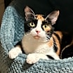 Thumbnail photo of Camille #3
