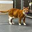 Thumbnail photo of Harry #1