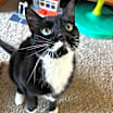 Thumbnail photo of Willy #1