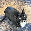 Thumbnail photo of Willy #2