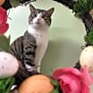 Thumbnail photo of Axel #1