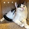 Thumbnail photo of Catrick Swayze #1