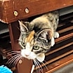 Thumbnail photo of Charlotte #2