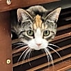 Thumbnail photo of Charlotte #3
