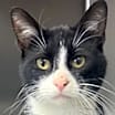 Thumbnail photo of Whiskey #2