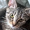 Thumbnail photo of Blossom #1